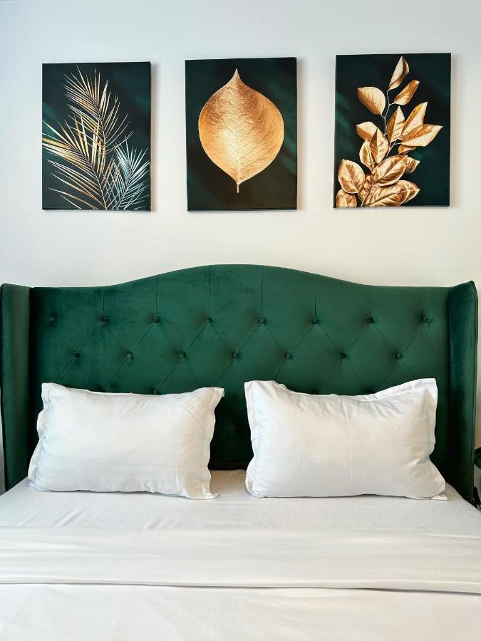 Koa - Urban Penthouse Daire Braşov Dış mekan fotoğraf
